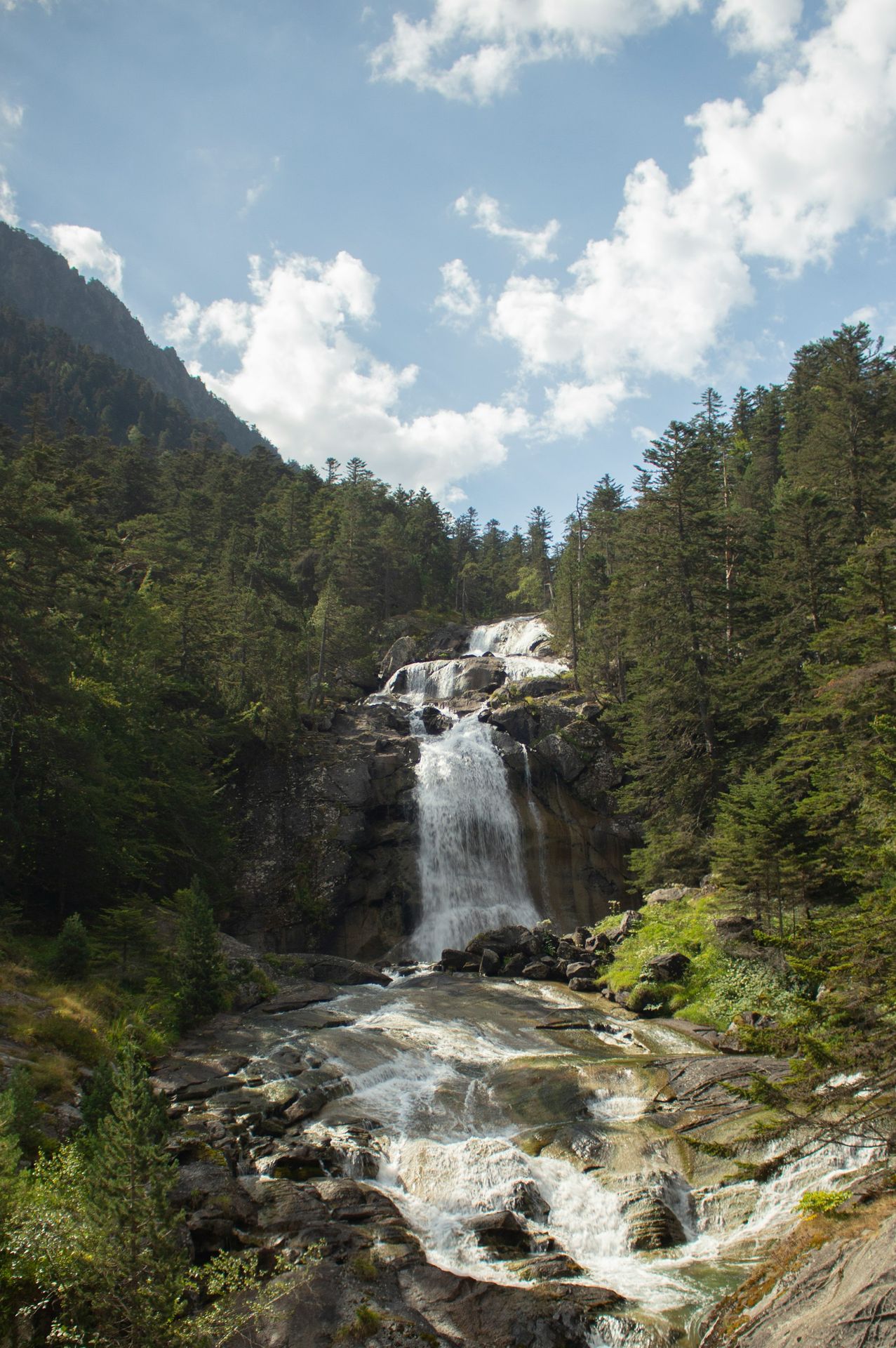 waterfalls in the middle of forest during daytime